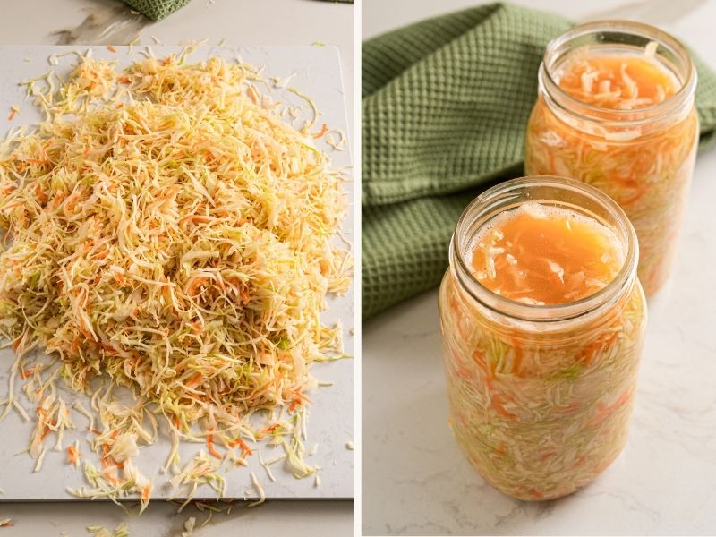Salted cabbage and carrot mixture tightly packed into glass jars for fermenting sauerkraut